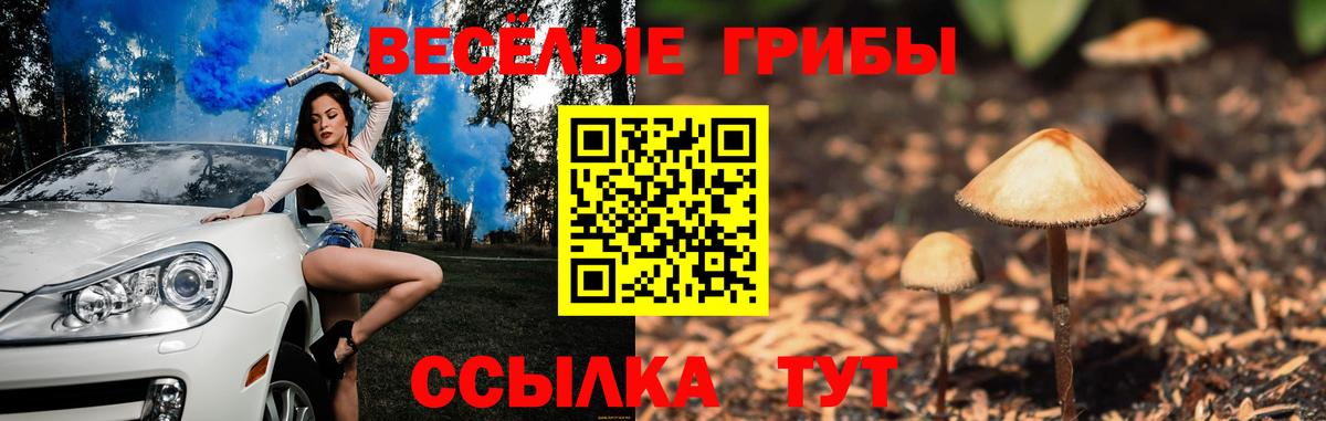 Галлюциногенные грибы прущие грибы Удомля